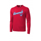 Garner Generals 2020 Online Store MOCKUP ST350LS Red