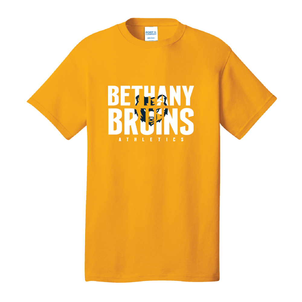 Bethany Christian School-Decoration 2-02