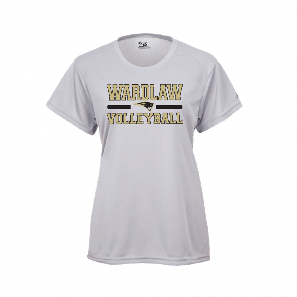 Wardlaw Volleyball Store-4160-Silver