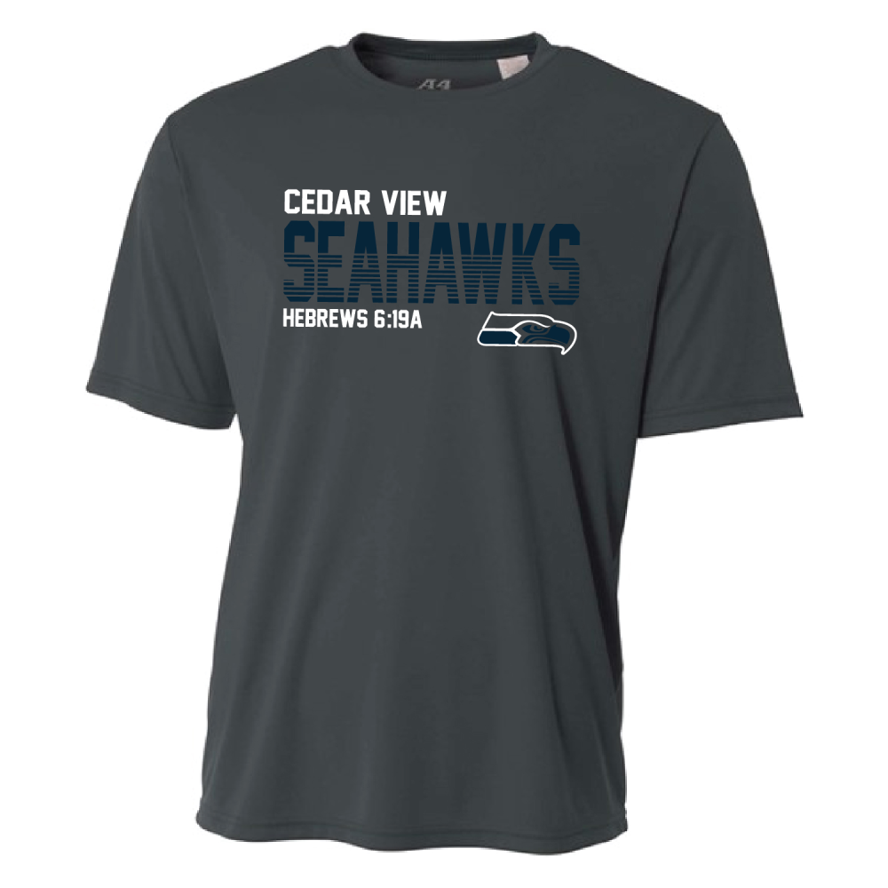 Cedar View Spirit Store 2024 - FF-01