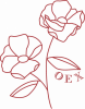 Theta Sigma Chi Spirit Wear