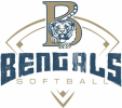 Blythewood High School Softball