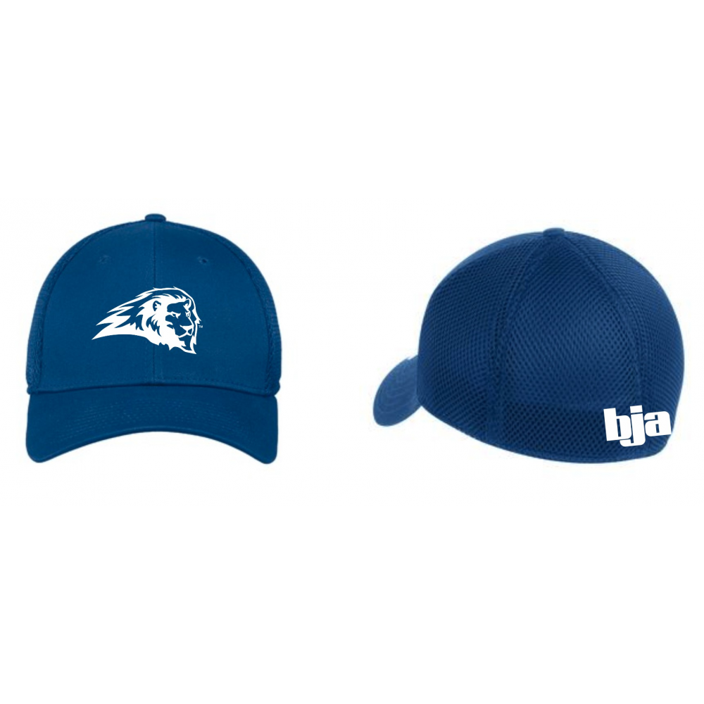 Bob Jones Academy Fall 2017 Store CAP