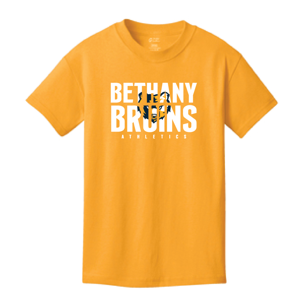 Bethany Christian School-Decoration 2-05